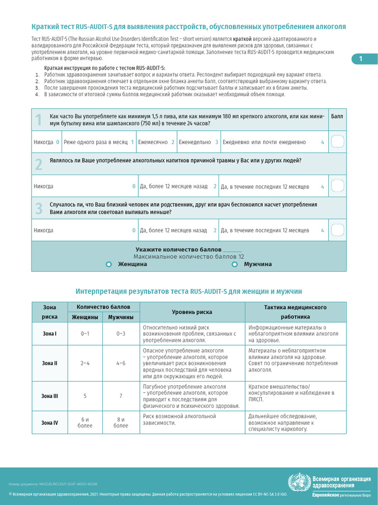Rus Audit S | PDF