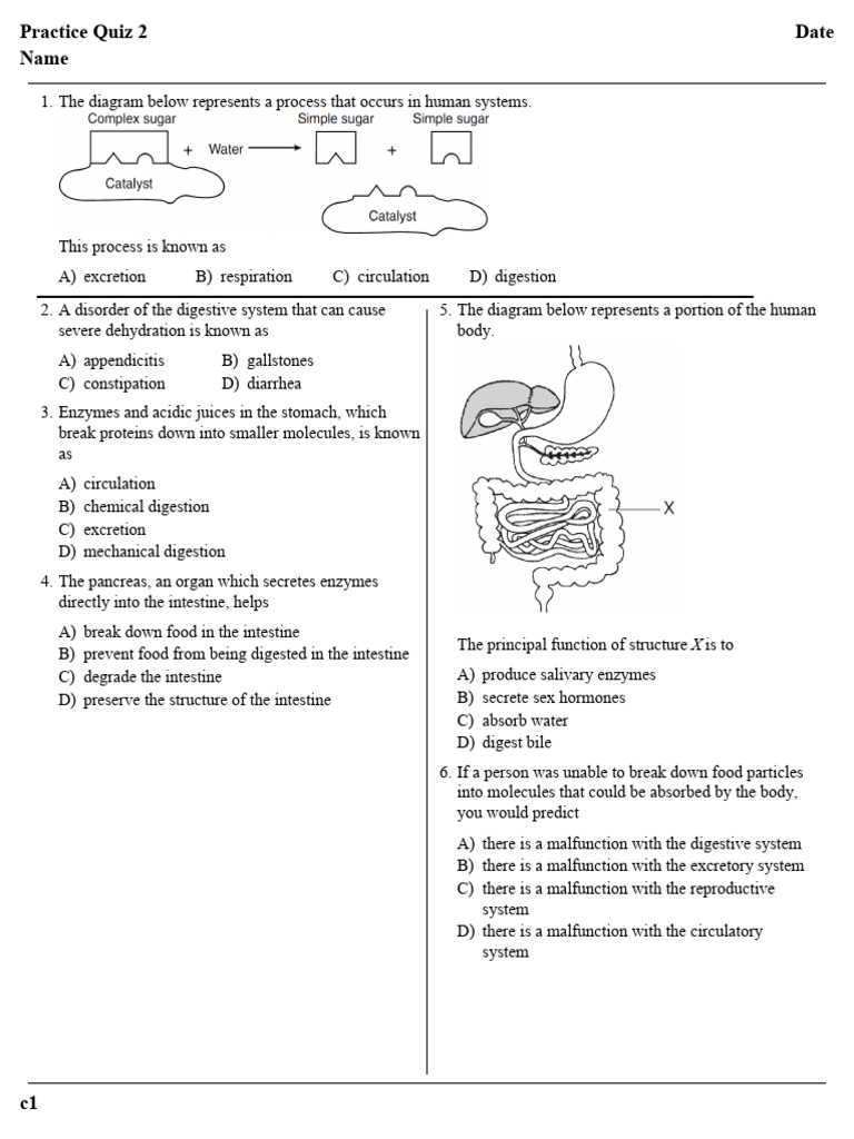 Digestive System Practice Quiz 1 For 2 17 1676585973924 SC | PDF
