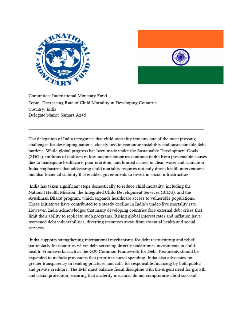 Position Paper | PDF | International Monetary Fund | Developing Country