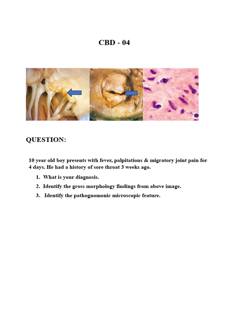 CBD Charts | PDF