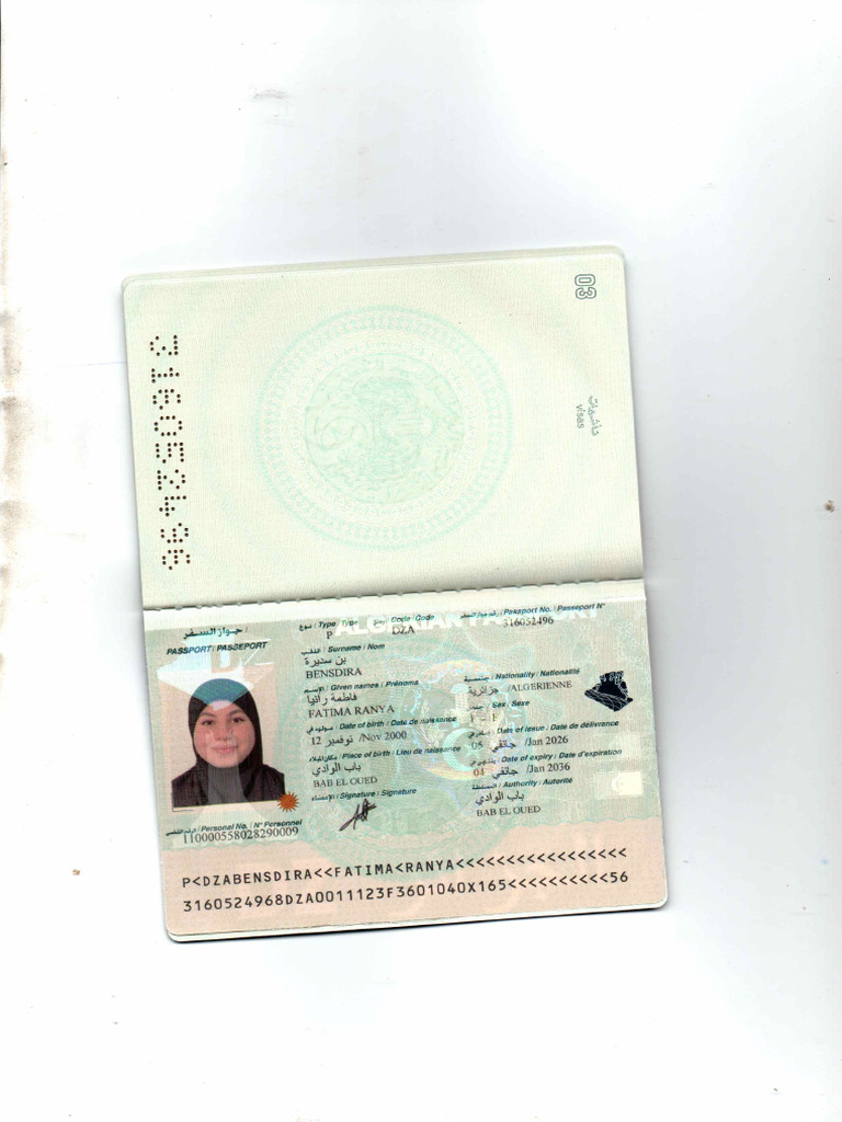 Scan | PDF