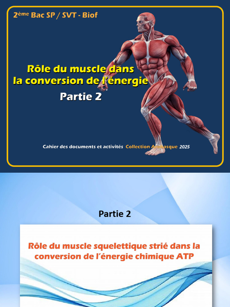 Guide 2SP - SVT BIOF Conversion Energie Muscle 2 | PDF | Muscle ...