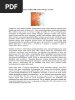 Download Azotobacter by cahyaade37 SN99884859 doc pdf