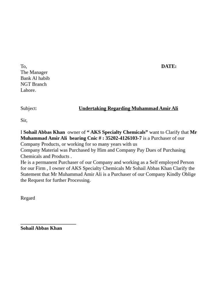 Amir Ali | PDF