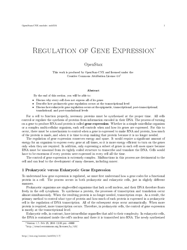 Regulation of Gene Expression 7 | PDF | Gene Expression | Regulation Of ...