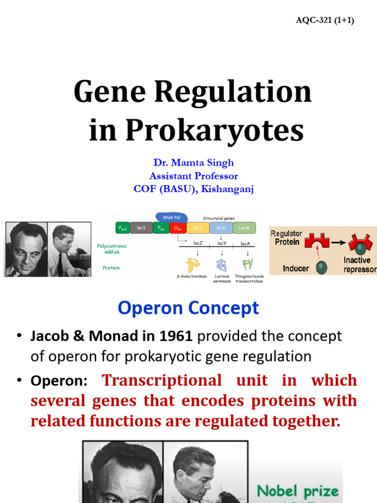 Gene Regulation in Prokaryotes - 1 | PDF | Operon | Repressor