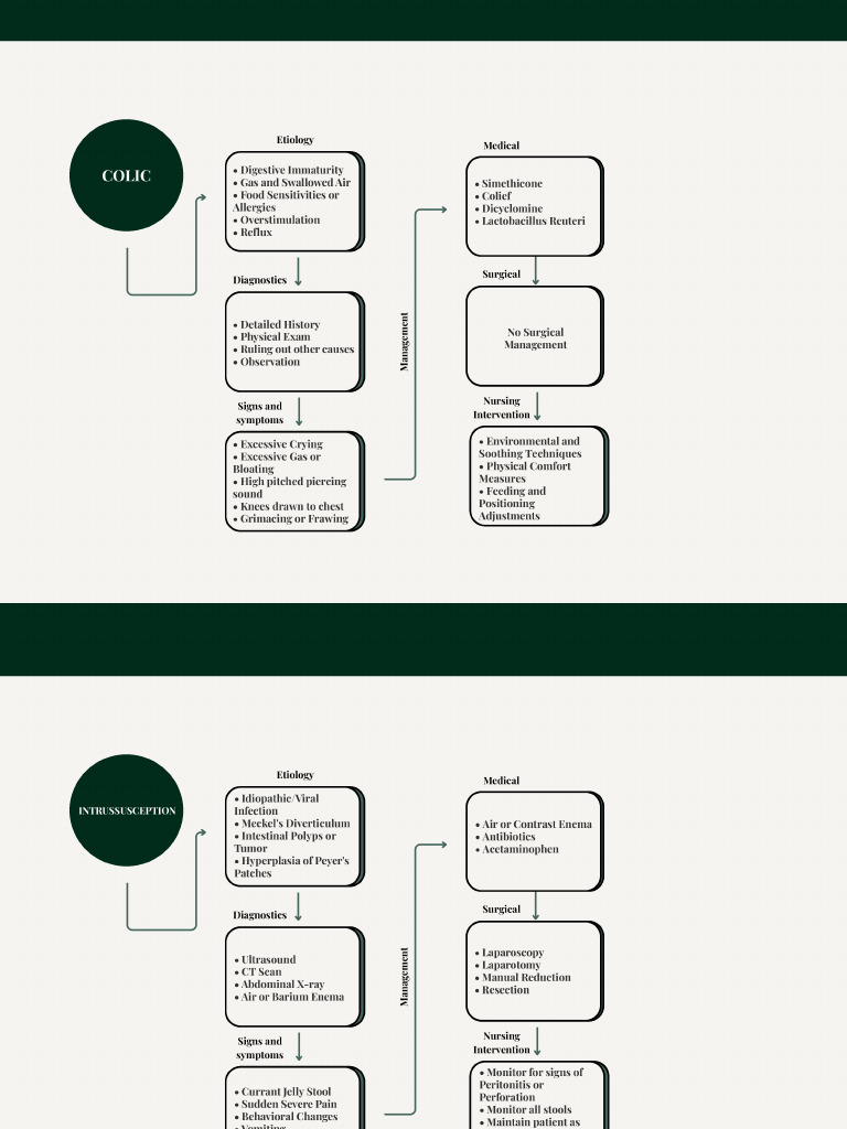 Green and White Simple Recruitment Process Flowchart Graph - 20260216 ...