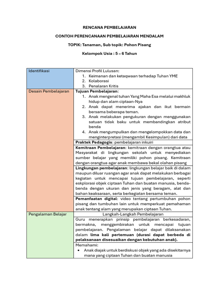 RP Mendalam - Contoh | PDF