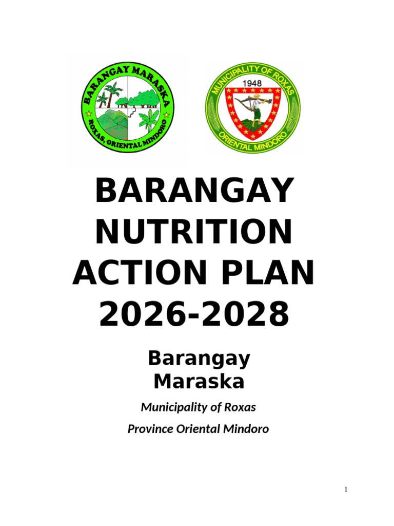 Revised BNAP 2026-2028 Template | PDF