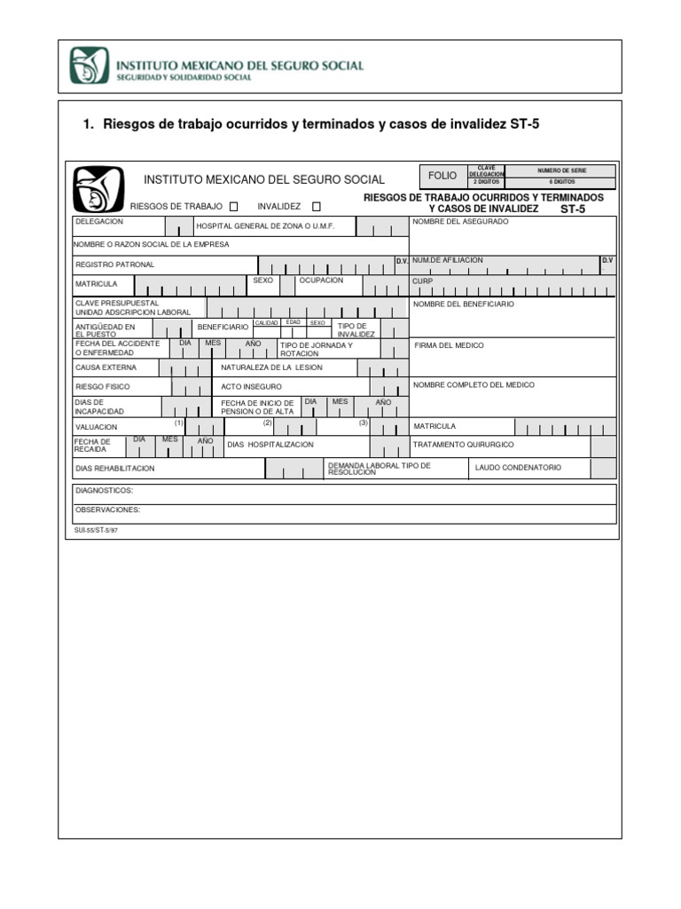 Formato ST 5 | PDF | Programas sociales