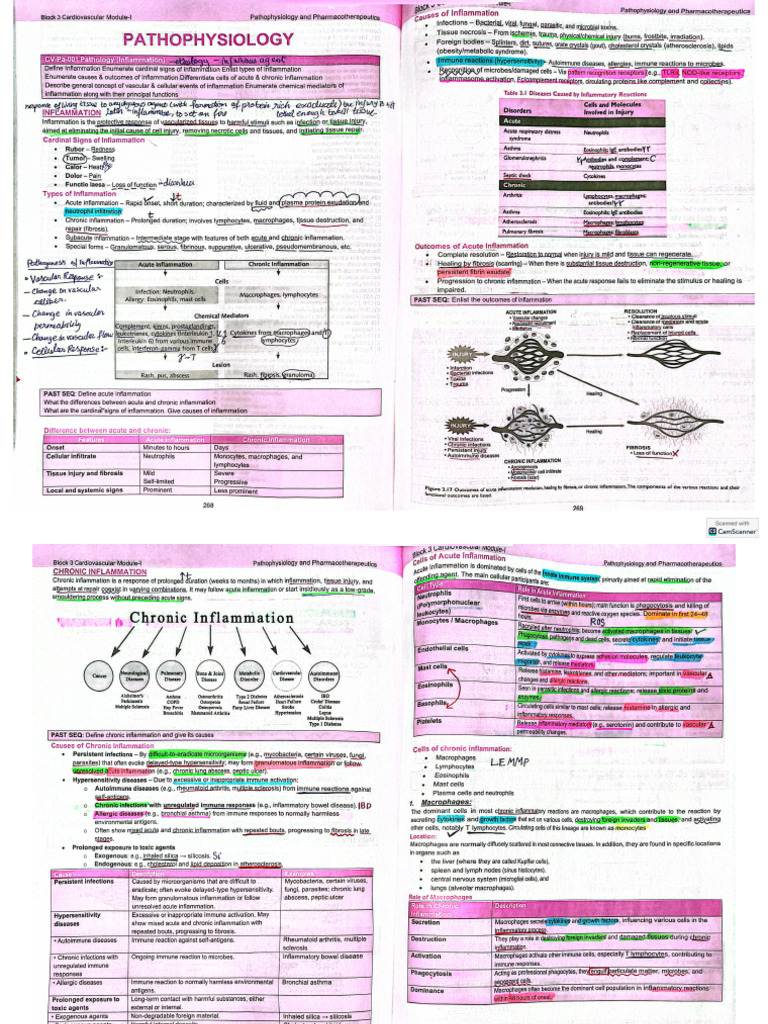 CVS Pathology | PDF