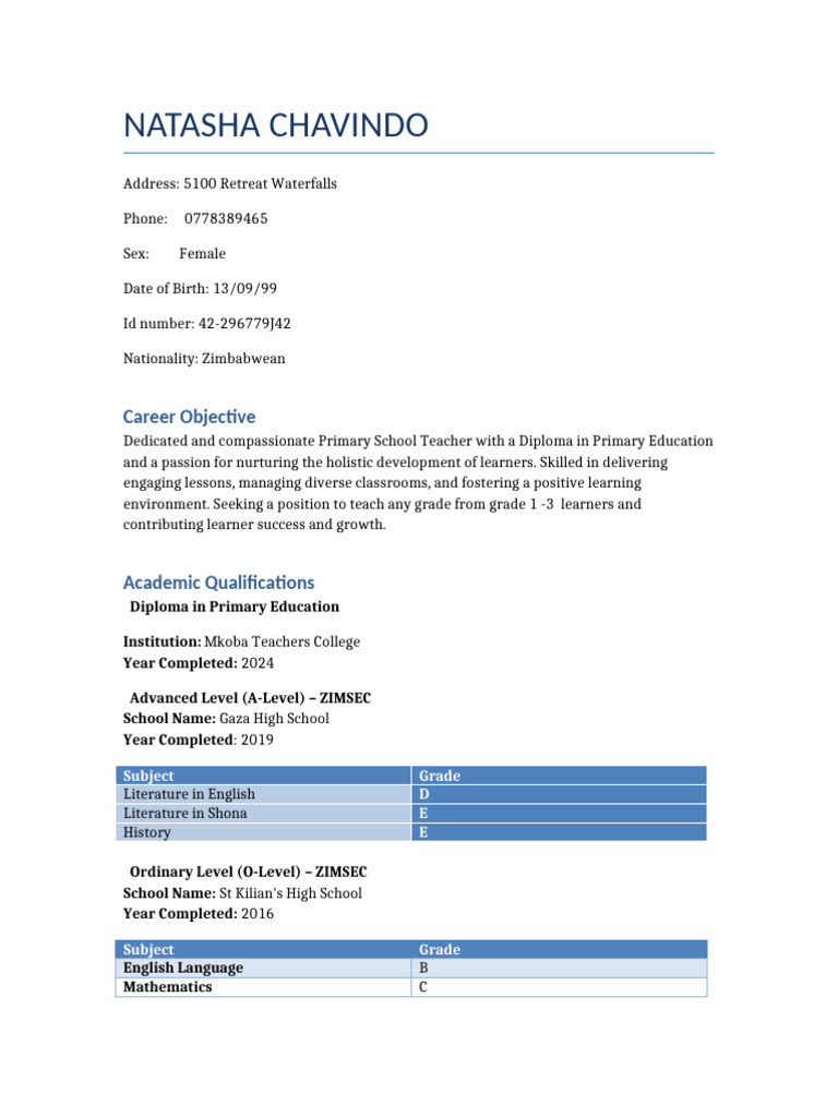 CV Document | PDF