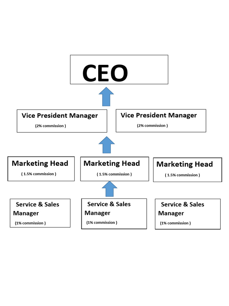 Vice President Manager Vice President Manager: Marketing Head Marketing ...