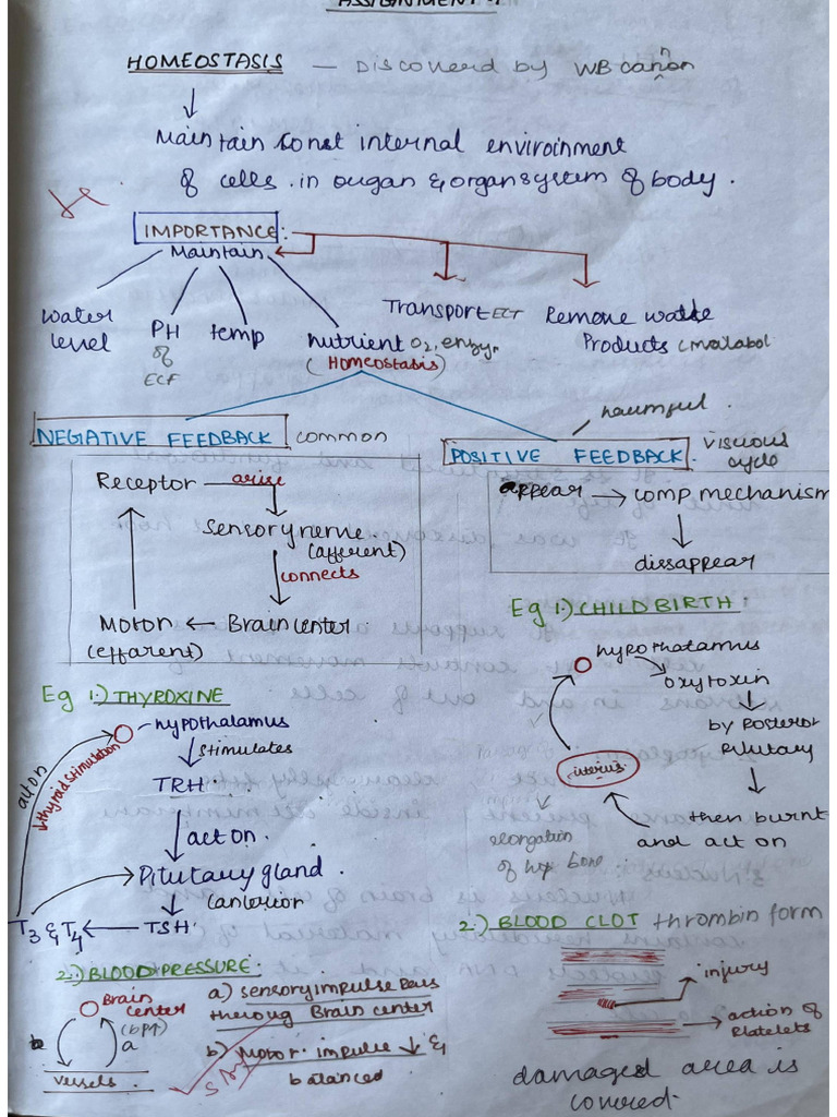 Homeostasis | PDF