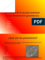 La Función de La Vacuola Contráctil en Los Paramecium (Paramecios)