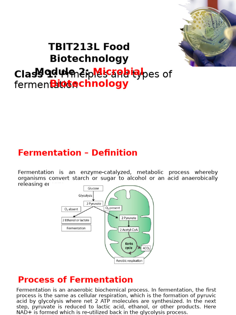 WINSEM2025-26 VL TBIT213L 00100 TH 2026-01-05 Principles-And-types-Of ...