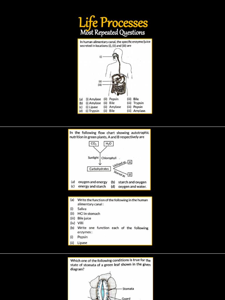 Life Process | PDF