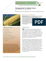 Agricultural Innovations: Organic Insect Management in Sweet Corn