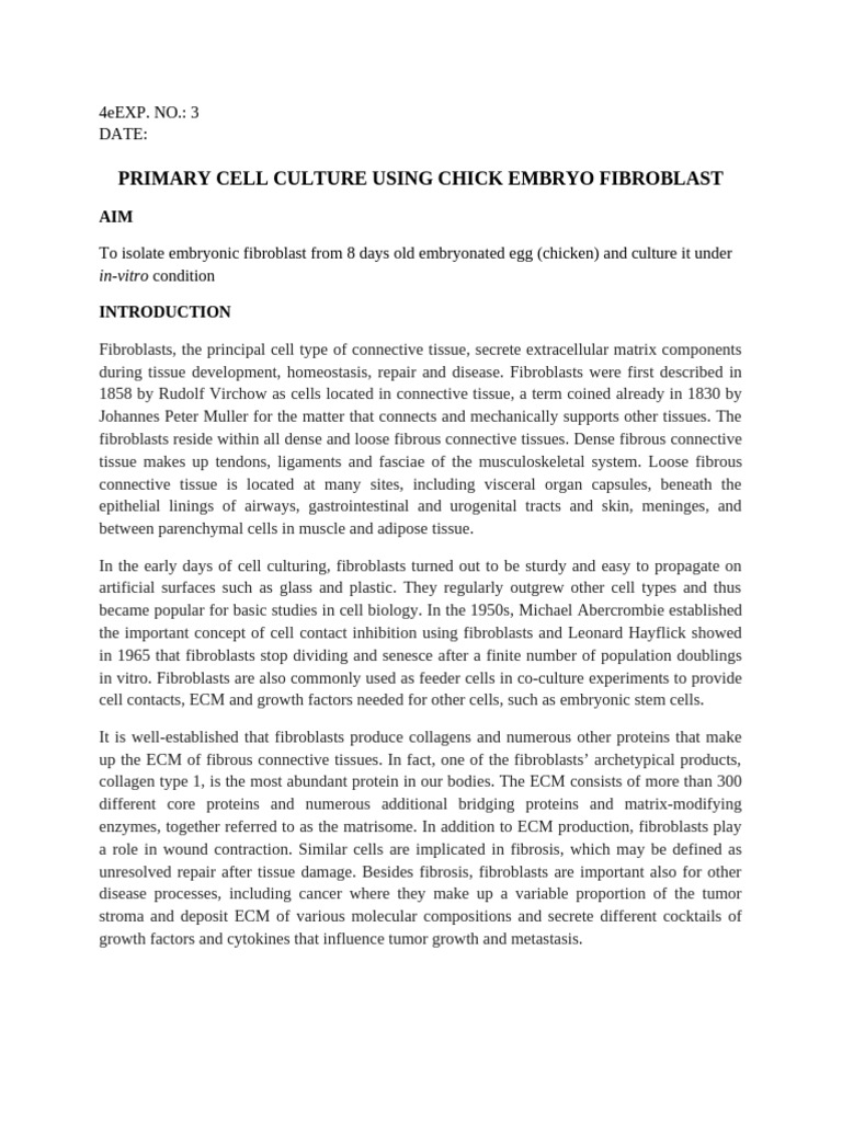 Expt 3 | PDF | Connective Tissue | Fibroblast