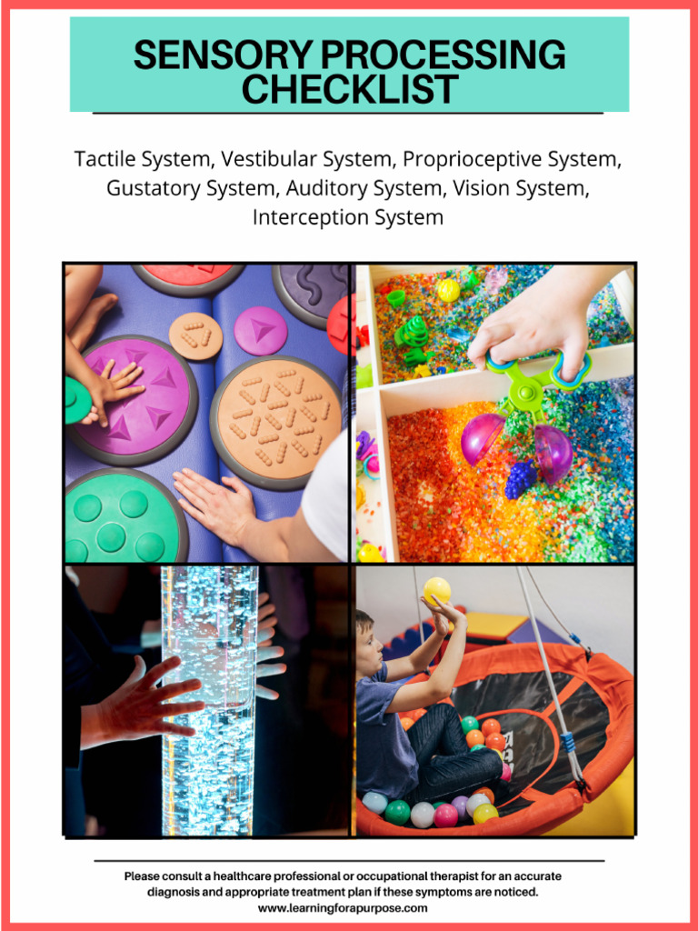 Sensory Processing Disorder Checklist | PDF