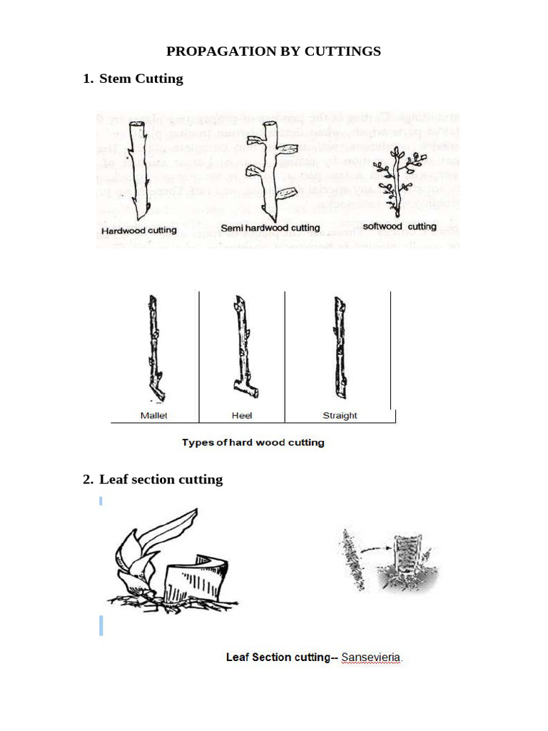 Propagation Diagrams | PDF