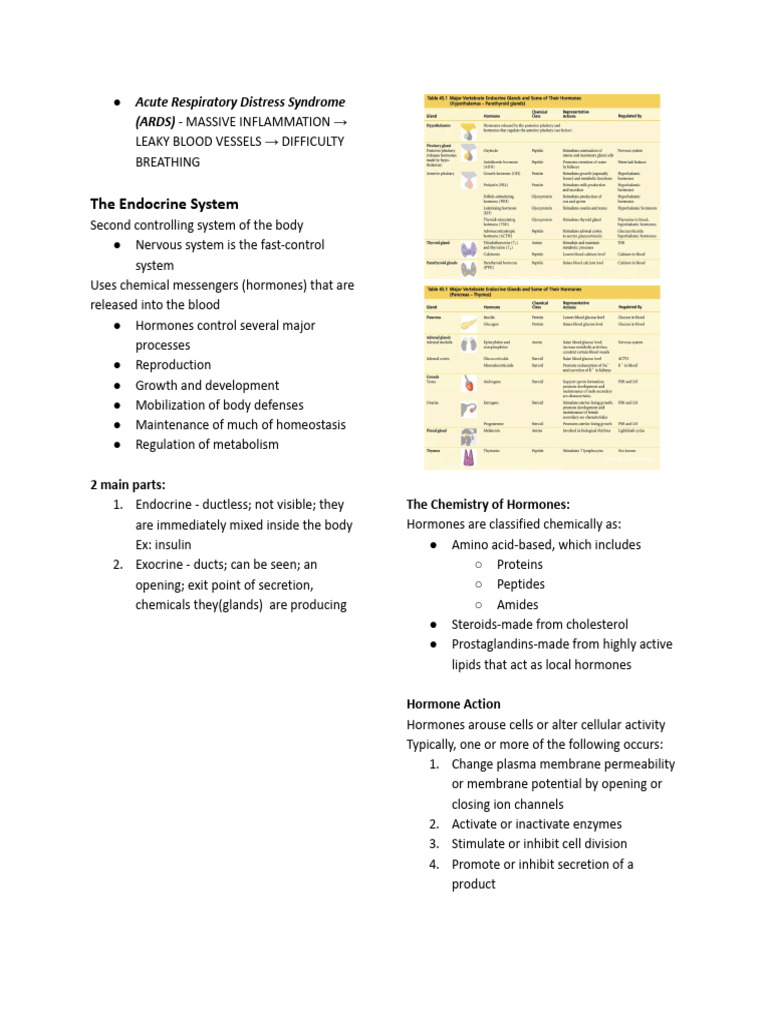 Endocrine System & Disorders | PDF | Hyperglycemia | Diabetes