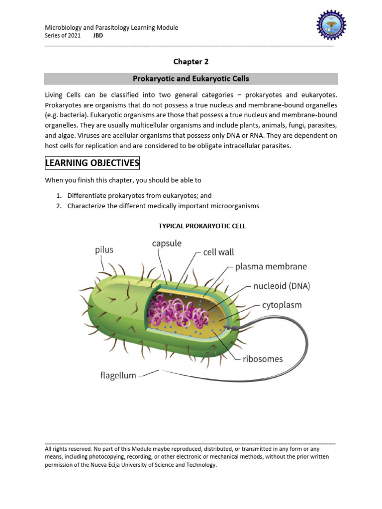Chapter 2. The Cell. Prokaryoric and Eukaryotic Cell | PDF | Cell ...