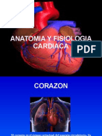 Diapositivas Anatomia y Fisiologia Cardiaca