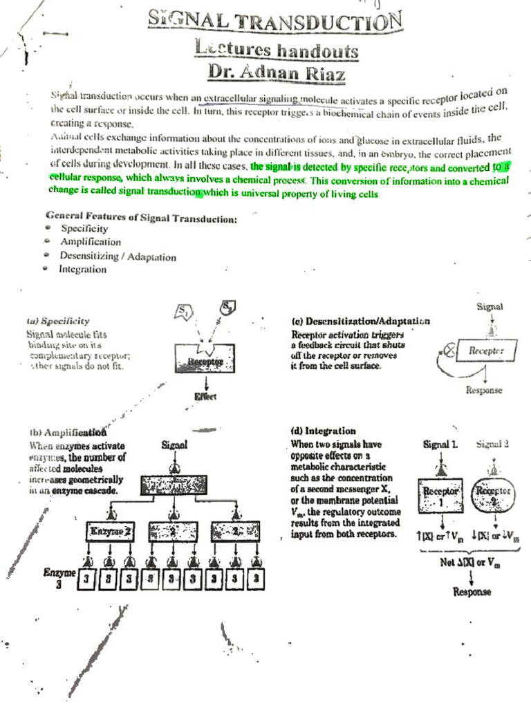 Cell Signalling Notes of Sir Adnan Riaz - 250715 - 082336 | PDF
