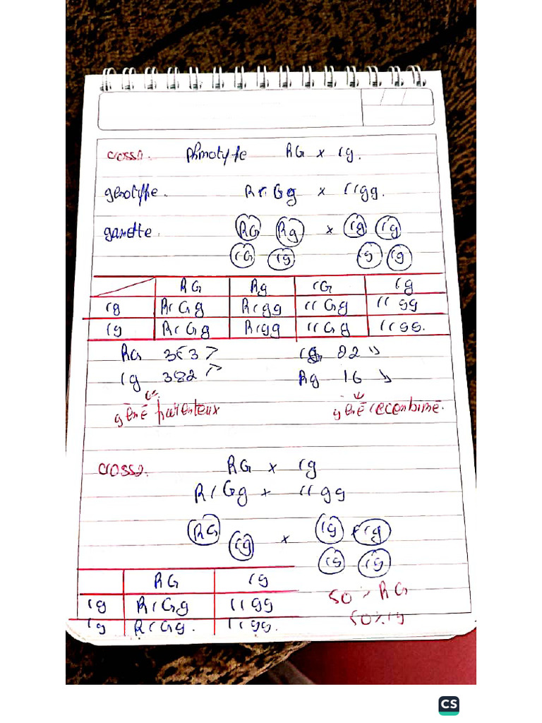 Correction TD | PDF
