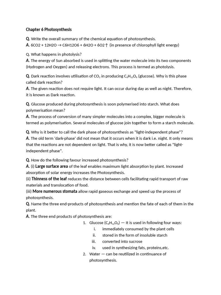 Chapter 6 Photosynthesis | PDF | Photosynthesis | Nicotinamide Adenine ...