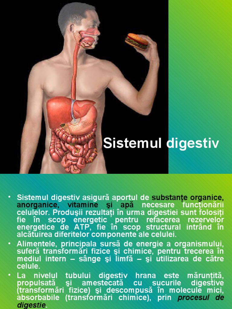 Sistemul Digestiv Cls 10