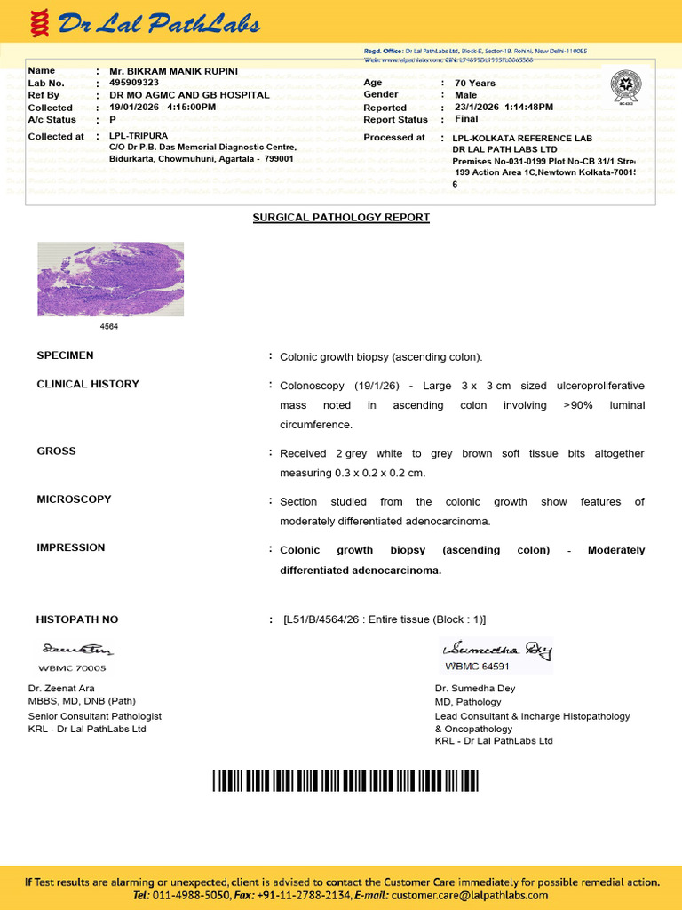 495909323_Report_F2026-01-23T132404 | PDF | Pathology | Histopathology