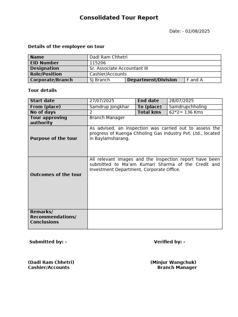 Draft Tour Report Format | PDF