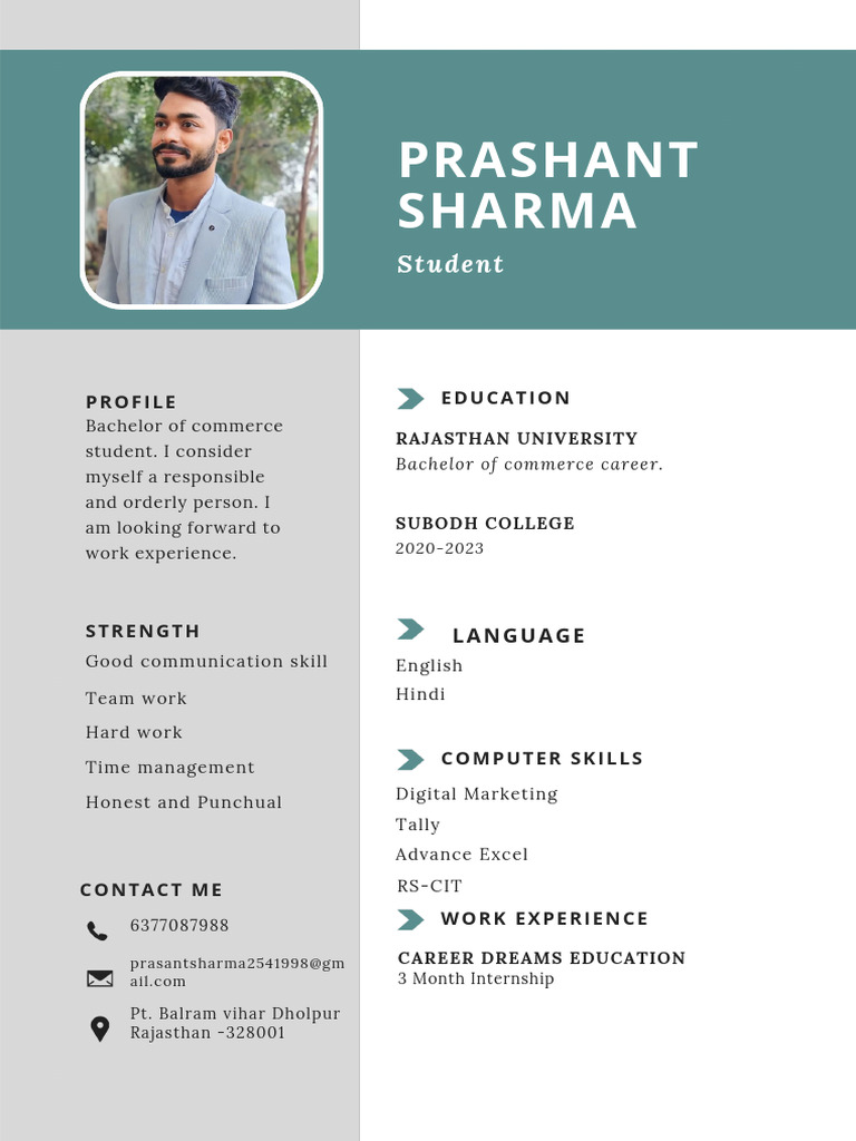 Professional CV Resume Prashant PDF | PDF