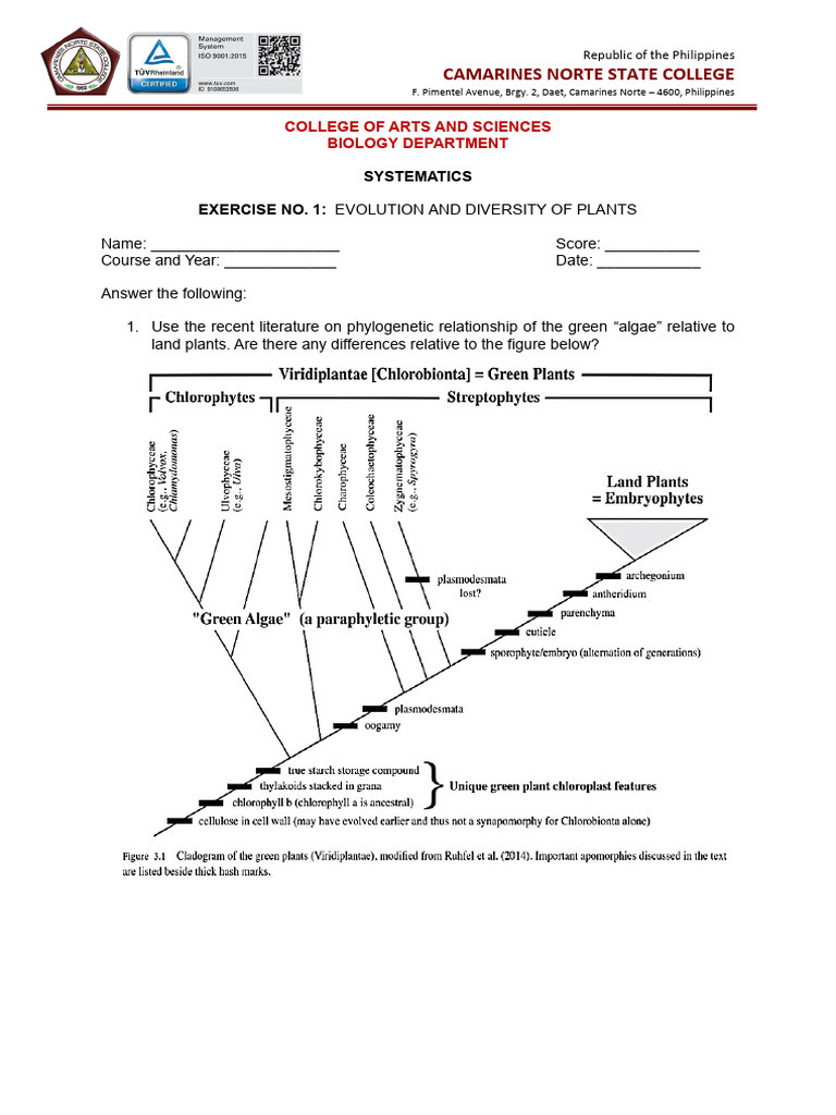 Exercise No. 1-Evolution and Diversity of Land Plants | PDF | Plants ...