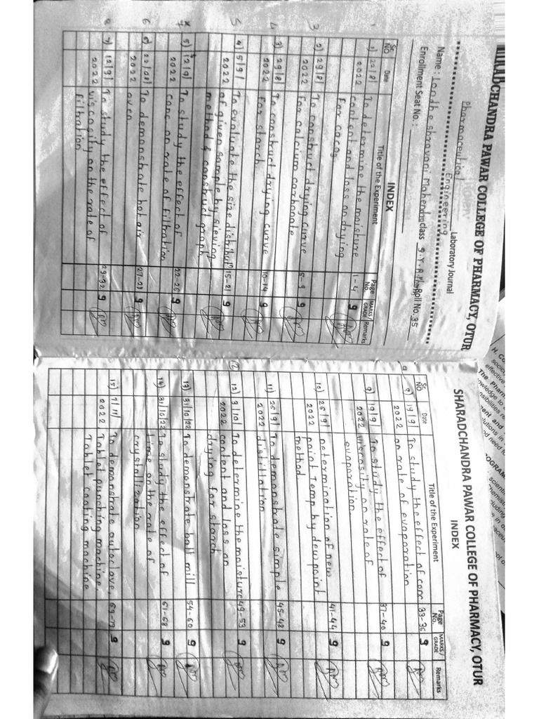 P.E Journal | PDF