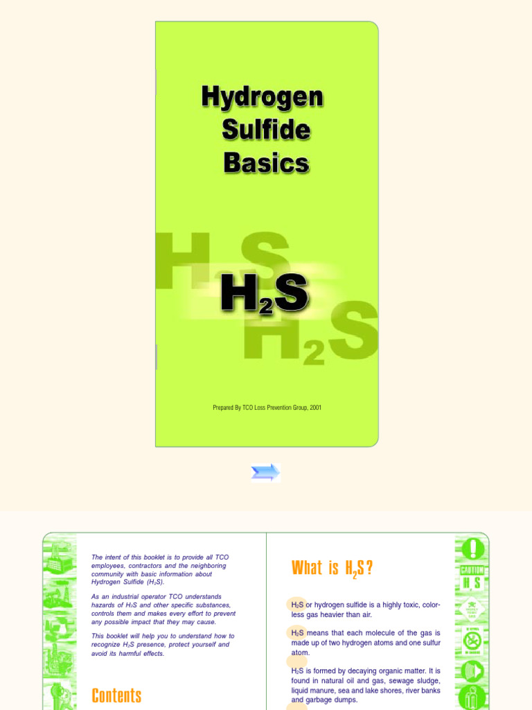 H2S Basics e | PDF | Odor