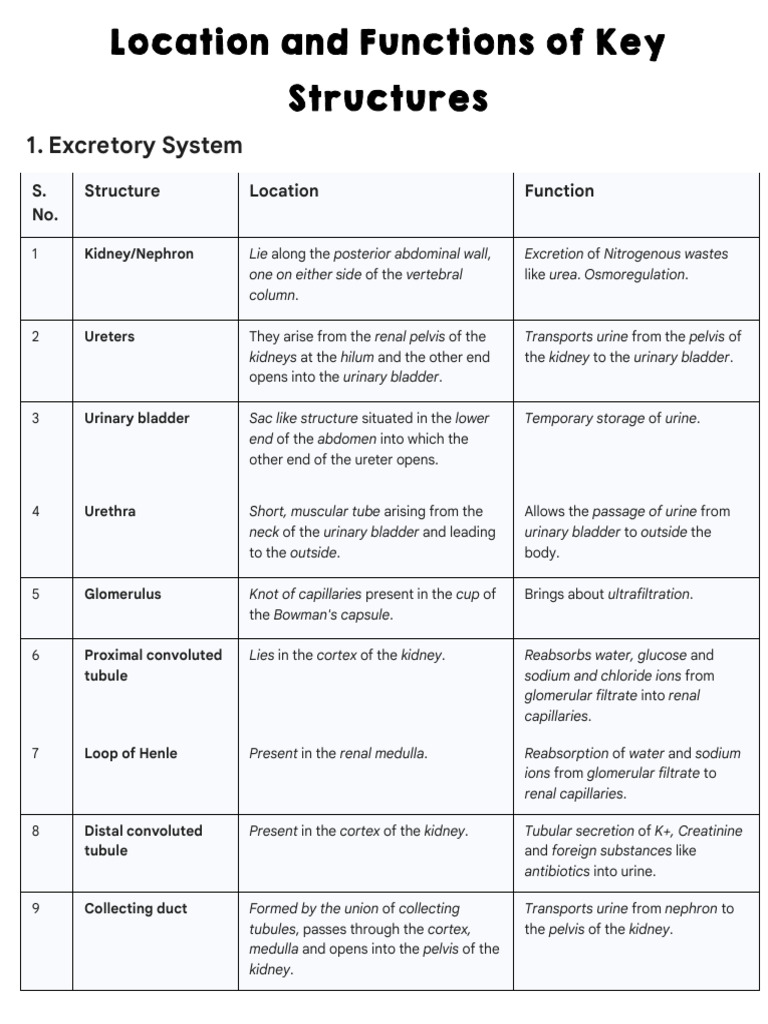 Biology - Location and Functions | PDF | Ear | Heart Valve