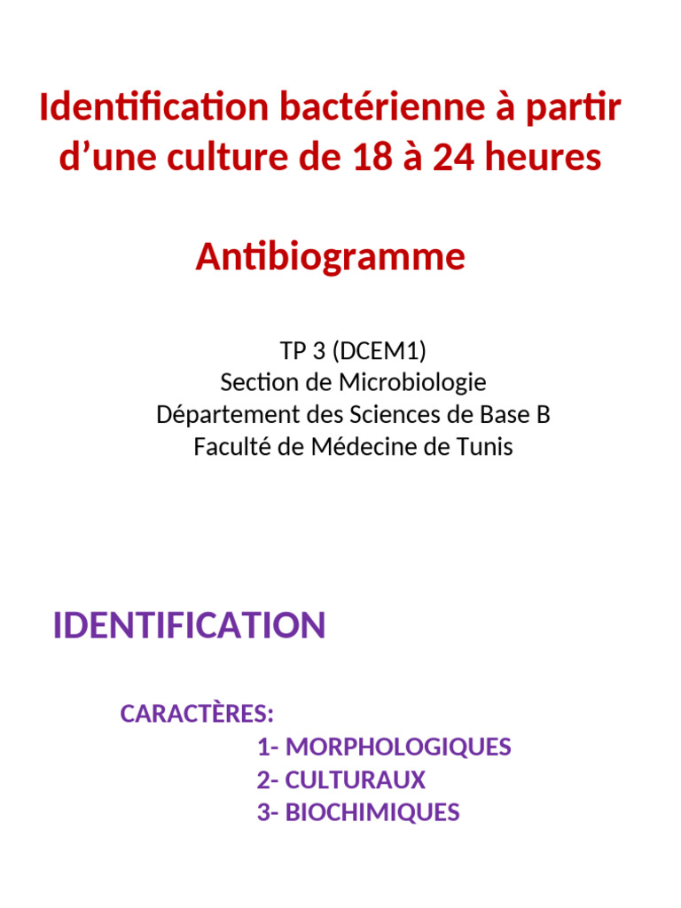 Diapo ATBG | PDF | Microbiologie | Bactérie