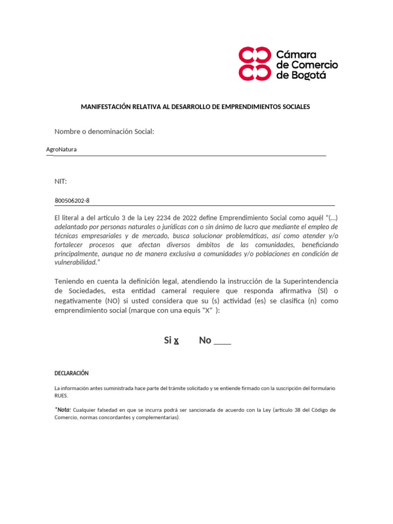 Declar 1 | PDF