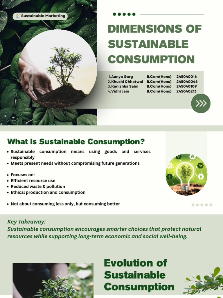 Dimensions of Sustainable Consumption - 20260211 - 132655 - 0000 | PDF ...