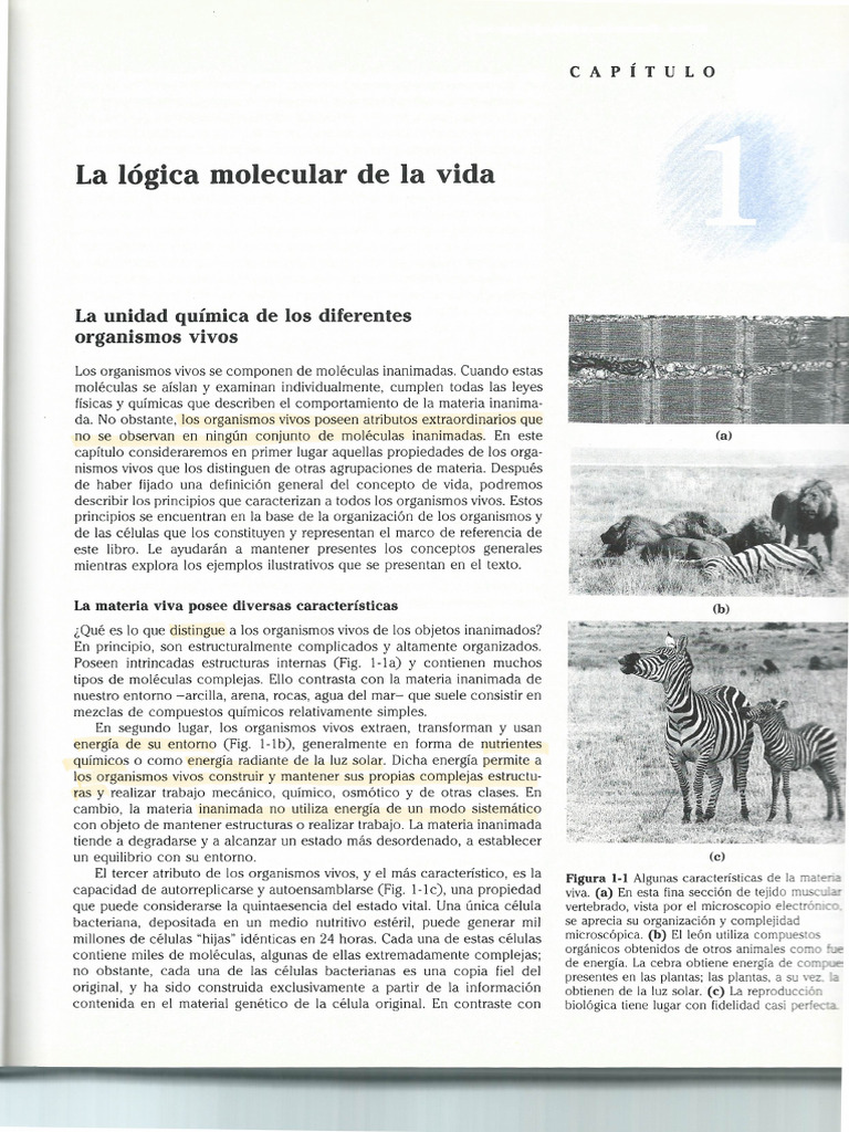 Lehninger | PDF