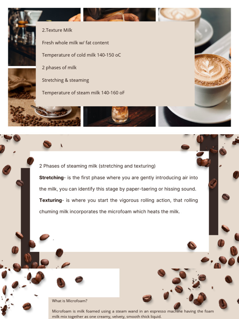 Barista 1 | PDF