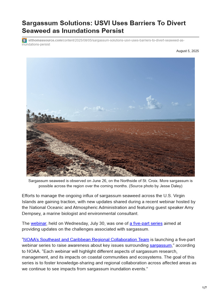 Sargassum Solutions USVI Uses Barriers To Divert Seaweed As Inundations ...