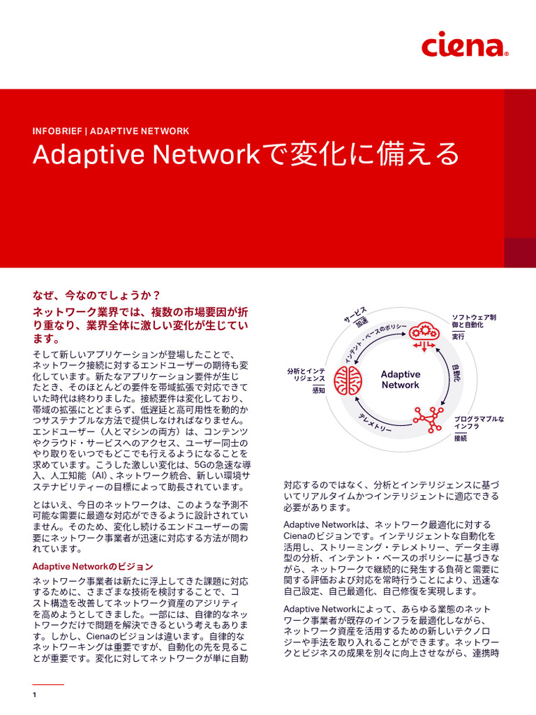 Be Prepared For Whats Next With The Adaptive Network A4 Ib Ja JP | PDF