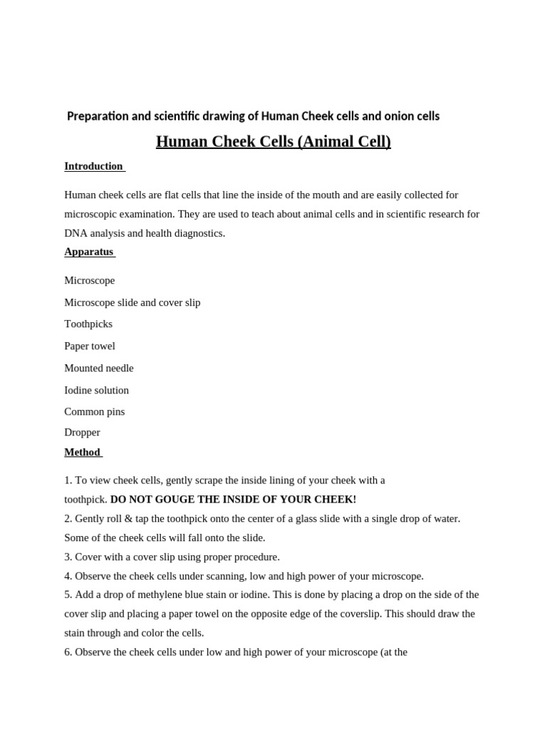 Preparation and Scientific Drawing of Human Cheek Cells and Onion Cells ...