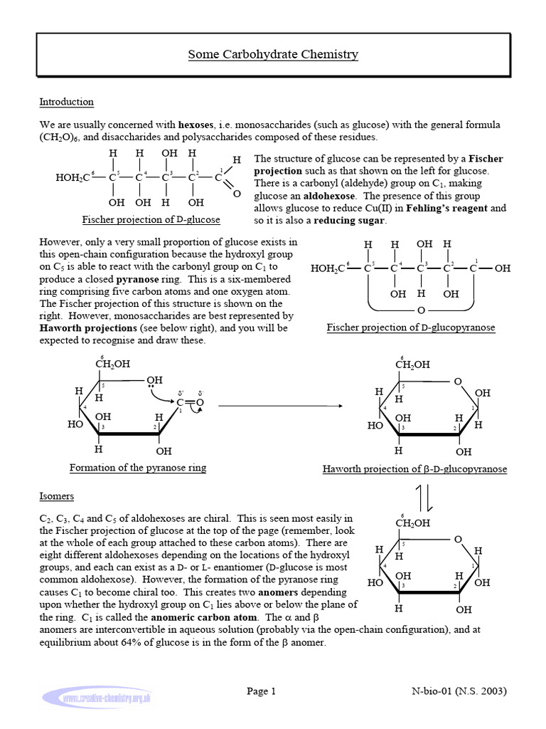 N-Bio-01 Carbohydrate | PDF | Hydrolysis | Glucose