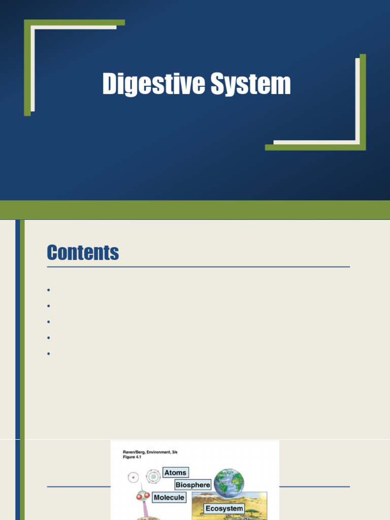 Digestive system | PDF | Human Digestive System | Gastrointestinal Tract