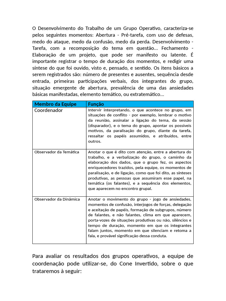 Realização Da ECRO de Enrique Pichon Reveère | PDF